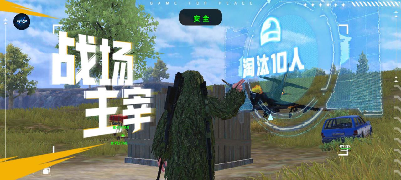 和平精英【EAD内部】辅助